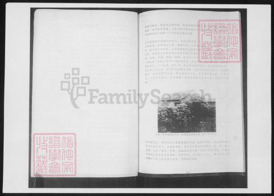 山东省青岛市即墨区杨氏族谱-北颜杨氏家谱.pdf电子版插图4 山东省青岛市即墨区杨氏族谱-北颜杨氏家谱.pdf电子版插图4