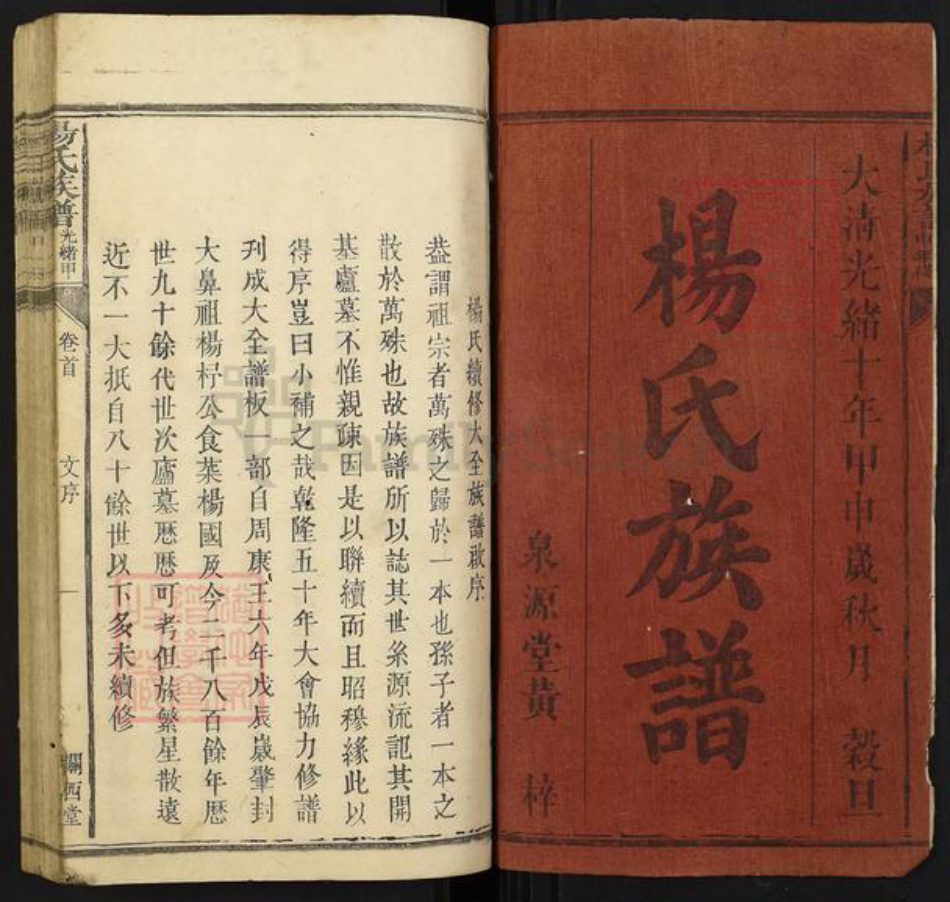 湖南省长沙市浏阳市沙市镇杨氏族谱-杨氏族谱[4卷首1卷].pdf电子版插图1