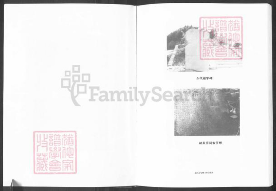 四川省南充市阆中县阆中姚氏族谱-姚氏宗谱.pdf电子版插图5 四川省南充市阆中县阆中姚氏族谱-姚氏宗谱.pdf电子版插图5