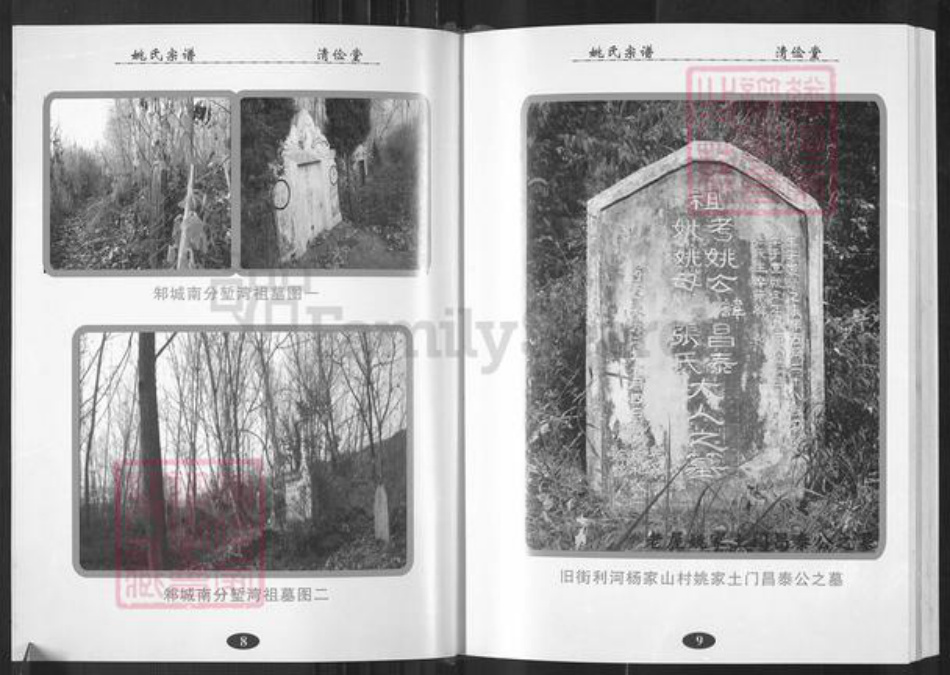 湖北省武汉市新洲区姚氏清俭堂族谱-姚氏宗谱.pdf电子版插图5 湖北省武汉市新洲区姚氏清俭堂族谱-姚氏宗谱.pdf电子版插图5