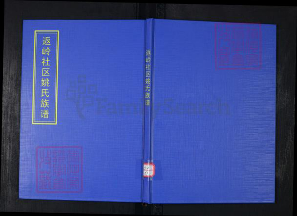 山东省青岛市崂山区姚氏族谱-返岭社区姚氏族谱.pdf电子版插图 山东省青岛市崂山区姚氏族谱-返岭社区姚氏族谱.pdf电子版插图