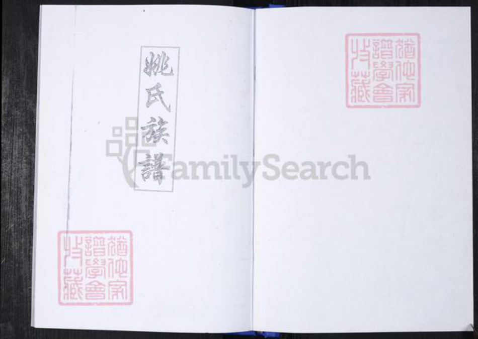 山东省青岛市崂山区姚氏族谱-返岭社区姚氏族谱.pdf电子版插图1 山东省青岛市崂山区姚氏族谱-返岭社区姚氏族谱.pdf电子版插图1