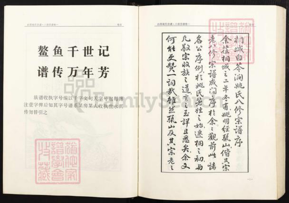 安徽省铜陵市枞阳县会宫镇姚氏族谱-白苓姚氏宗谱(八修谱再刊版).pdf电子版插图3 安徽省铜陵市枞阳县会宫镇姚氏族谱-白苓姚氏宗谱(八修谱再刊版).pdf电子版插图3
