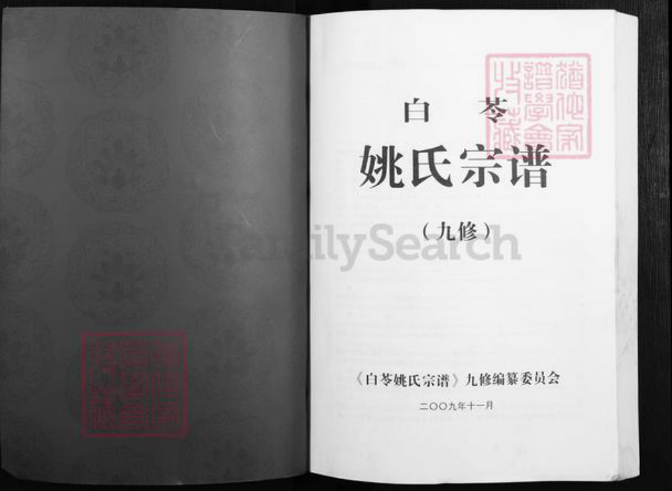 安徽省铜陵市枞阳县会宫镇姚氏族谱-白苓姚氏宗谱(九修宗谱).pdf电子版插图1 安徽省铜陵市枞阳县会宫镇姚氏族谱-白苓姚氏宗谱(九修宗谱).pdf电子版插图1