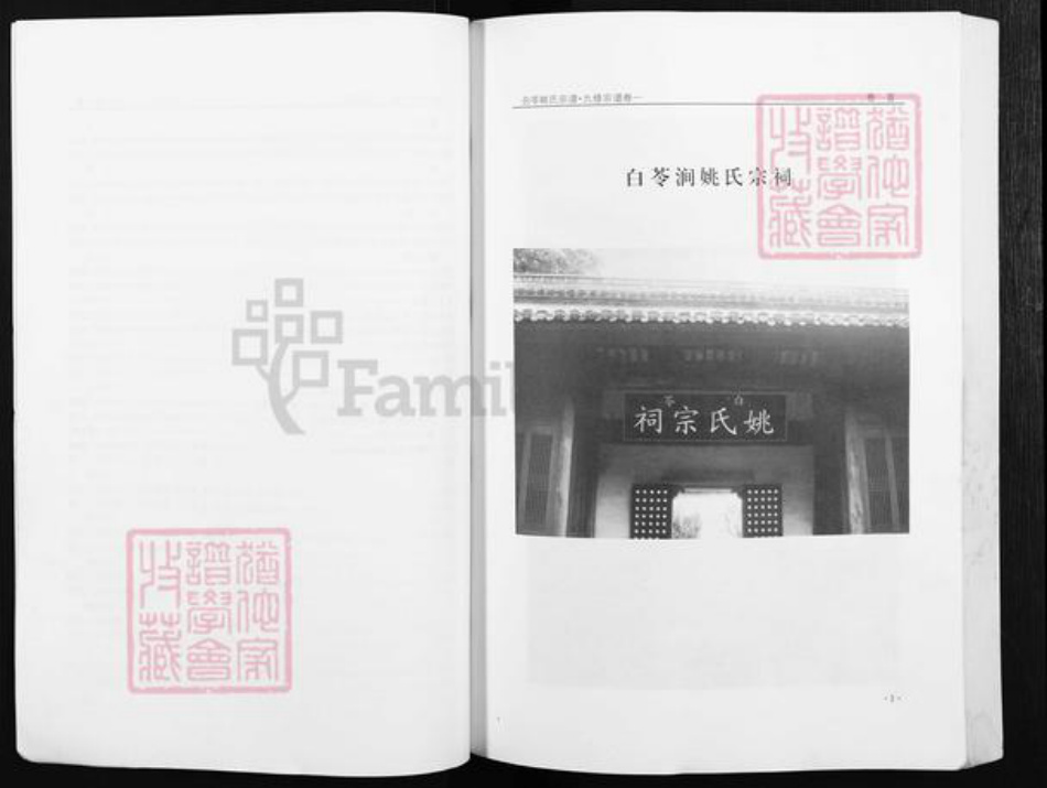 安徽省铜陵市枞阳县会宫镇姚氏族谱-白苓姚氏宗谱(九修宗谱).pdf电子版插图4 安徽省铜陵市枞阳县会宫镇姚氏族谱-白苓姚氏宗谱(九修宗谱).pdf电子版插图4