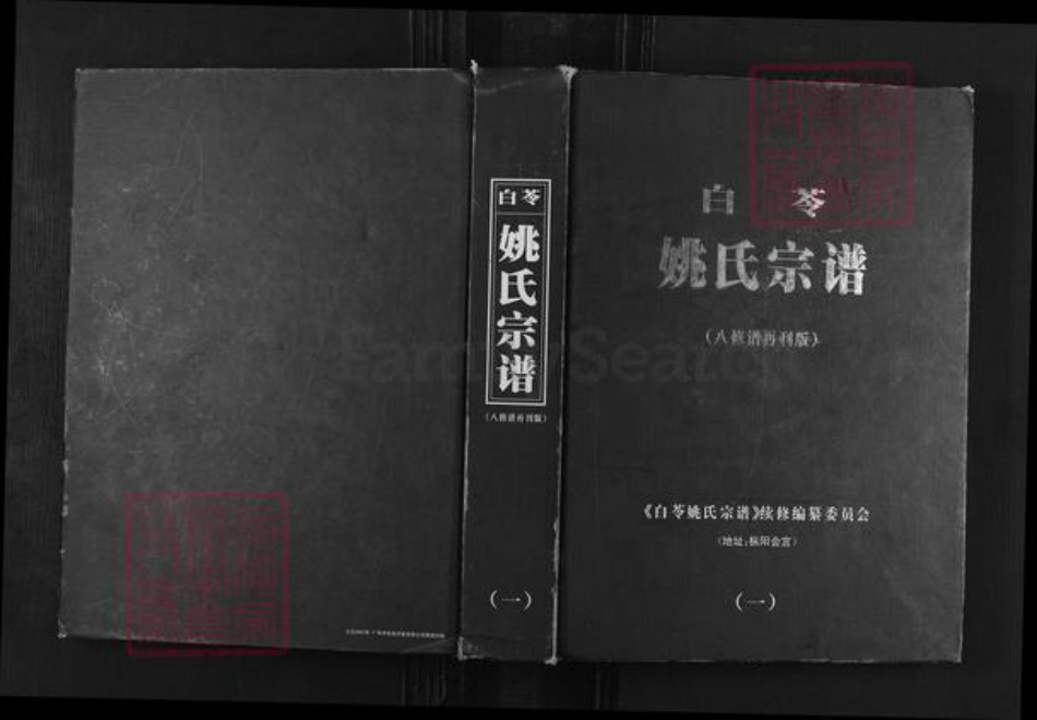 安徽省铜陵市枞阳县会宫镇姚氏族谱-白苓姚氏宗谱.pdf电子版
