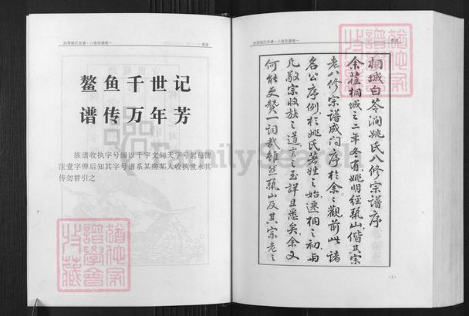 安徽省铜陵市枞阳县会宫镇姚氏族谱-白苓姚氏宗谱.pdf电子版插图3 安徽省铜陵市枞阳县会宫镇姚氏族谱-白苓姚氏宗谱.pdf电子版插图3