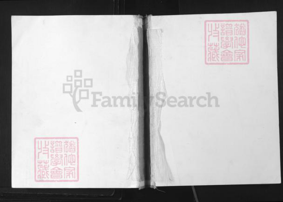 贵州省铜仁市铜仁市姚氏重华堂族谱-姚氏族谱.pdf电子版