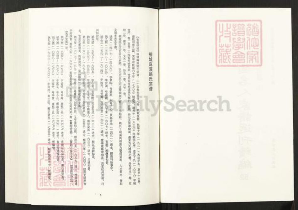 安徽省安庆市桐城市姚氏族谱-清代民国名人家谱选刊续编.第52~56册.桐城麻溪姚氏宗谱.pdf电子版插图2 安徽省安庆市桐城市姚氏族谱-清代民国名人家谱选刊续编.第52~56册.桐城麻溪姚氏宗谱.pdf电子版插图2
