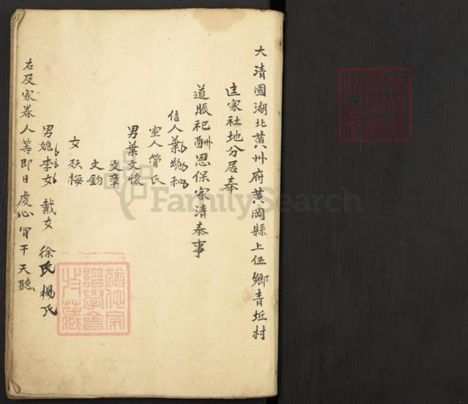 湖北省武汉市新洲区叶氏族谱-Missing Title.pdf电子版插图1