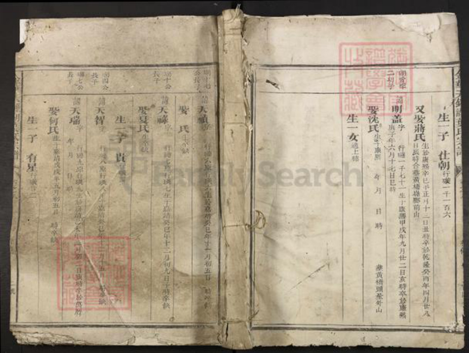 浙江省金华市叶氏族谱-金华天钟湖叶氏宗谱.pdf电子版