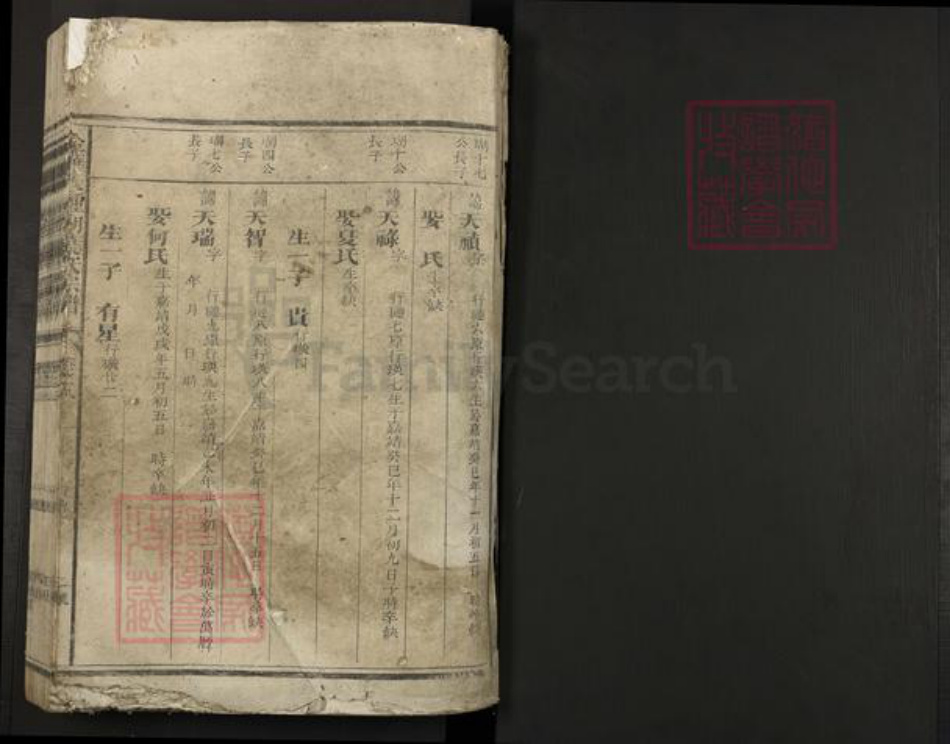 浙江省金华市叶氏族谱-金华天钟湖叶氏宗谱.pdf电子版插图1 浙江省金华市叶氏族谱-金华天钟湖叶氏宗谱.pdf电子版插图1