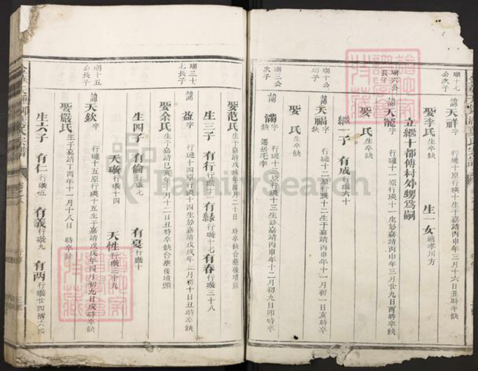 浙江省金华市叶氏族谱-金华天钟湖叶氏宗谱.pdf电子版插图2 浙江省金华市叶氏族谱-金华天钟湖叶氏宗谱.pdf电子版插图2