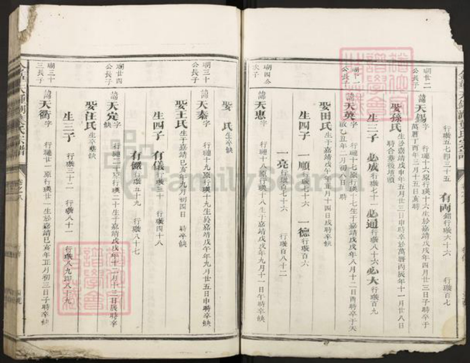 浙江省金华市叶氏族谱-金华天钟湖叶氏宗谱.pdf电子版插图3 浙江省金华市叶氏族谱-金华天钟湖叶氏宗谱.pdf电子版插图3