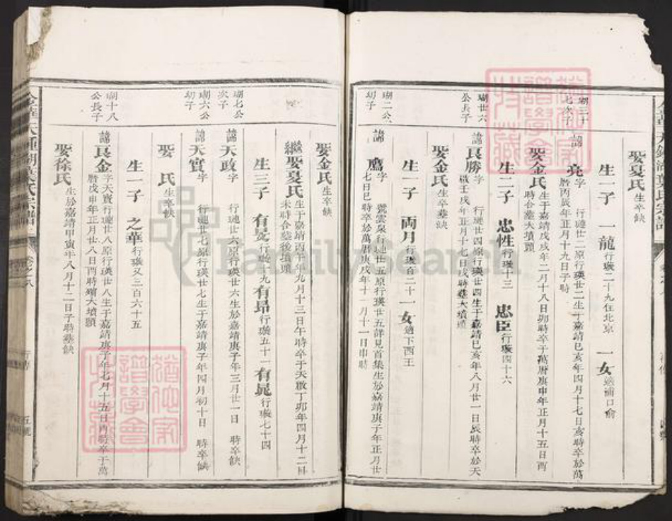 浙江省金华市叶氏族谱-金华天钟湖叶氏宗谱.pdf电子版插图4 浙江省金华市叶氏族谱-金华天钟湖叶氏宗谱.pdf电子版插图4