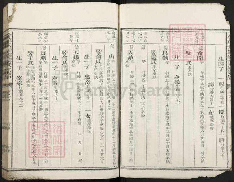 浙江省金华市叶氏族谱-金华天钟湖叶氏宗谱.pdf电子版插图5 浙江省金华市叶氏族谱-金华天钟湖叶氏宗谱.pdf电子版插图5