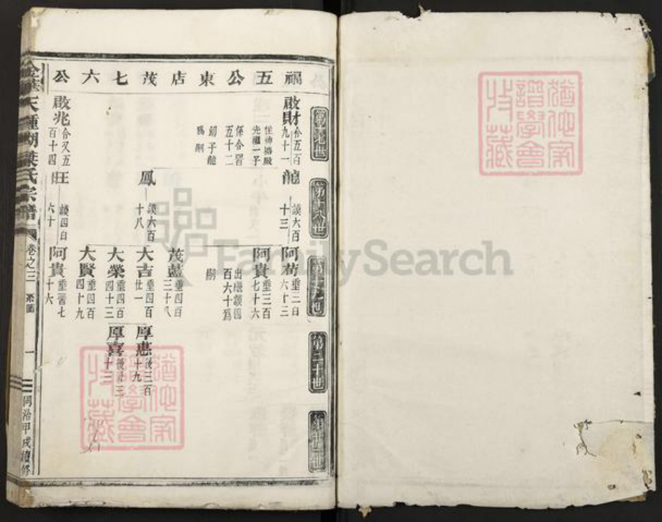 浙江省金华市叶氏族谱-钟湖叶氏宗谱.pdf电子版插图1