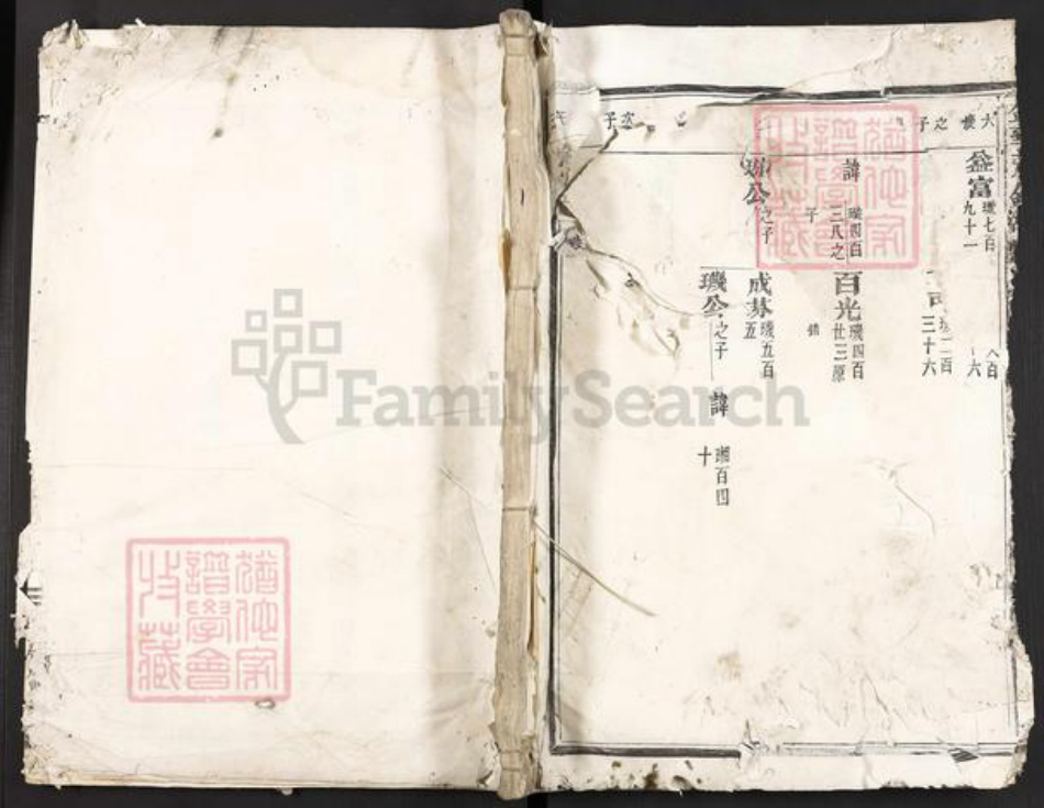 浙江省金华市叶氏族谱-金华天钟湖叶氏宗谱.pdf电子版