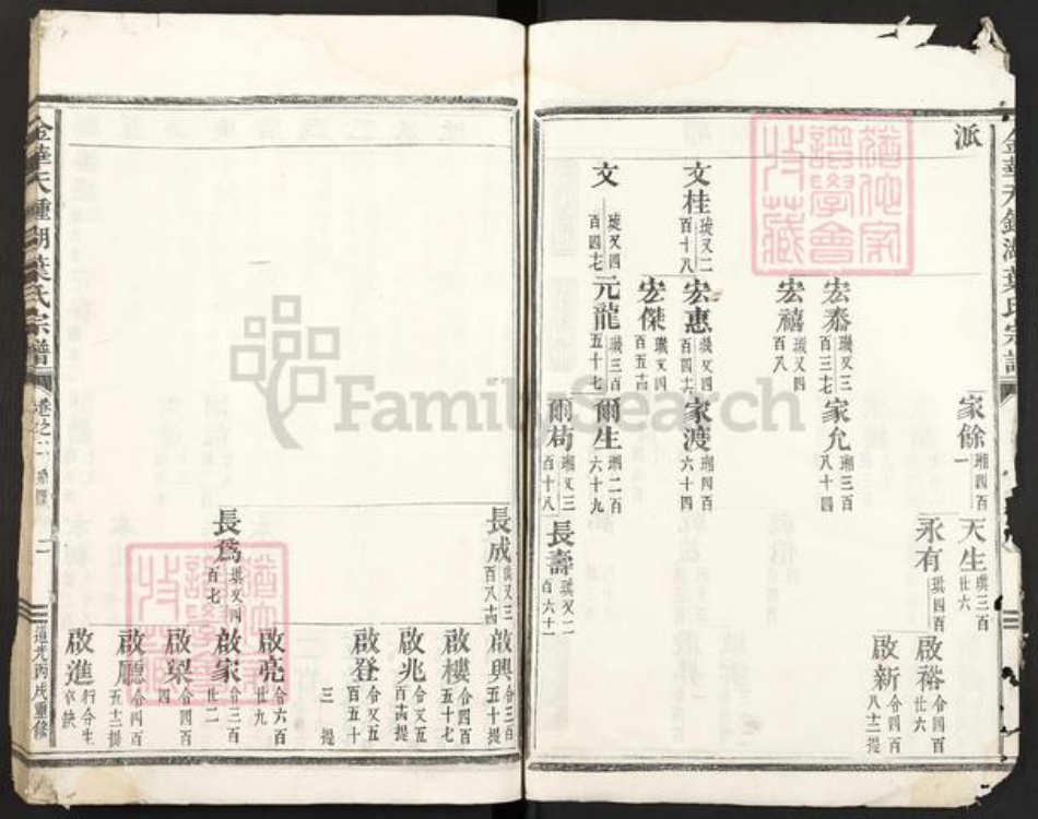 浙江省金华市叶氏族谱-金华天钟湖叶氏宗谱.pdf电子版插图2