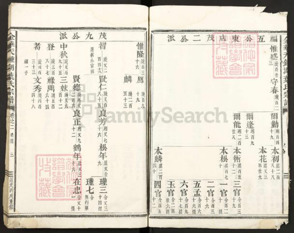 浙江省金华市叶氏族谱-金华天钟湖叶氏宗谱.pdf电子版插图3