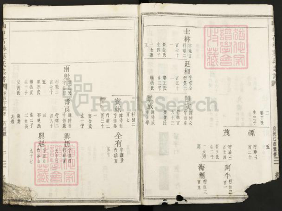 浙江省金华市叶氏绥思堂族谱-山口石林叶氏宗谱.pdf电子版插图2 浙江省金华市叶氏绥思堂族谱-山口石林叶氏宗谱.pdf电子版插图2