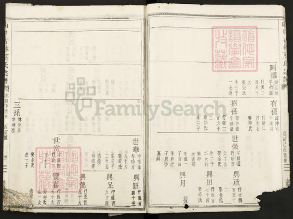 浙江省金华市叶氏绥思堂族谱-山口石林叶氏宗谱.pdf电子版插图3 浙江省金华市叶氏绥思堂族谱-山口石林叶氏宗谱.pdf电子版插图3