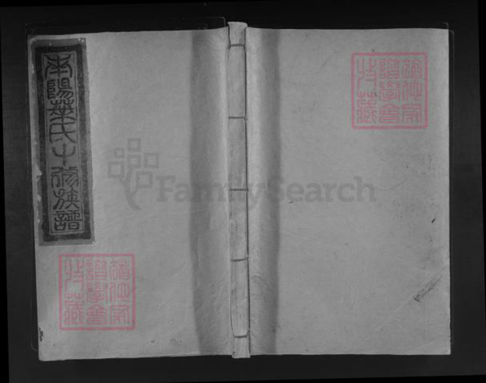 江西省赣州市宁都县叶氏族谱-寕都南阳叶氏十修族谱.pdf电子版