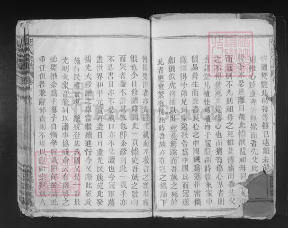 江西省九江市湖口县双钟镇叶氏三闾堂族谱-叶氏宗谱.pdf电子版插图2