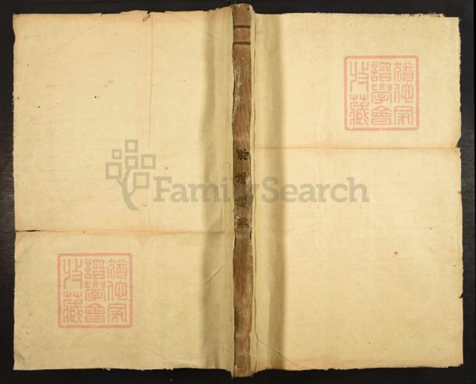 浙江省丽水市叶氏族谱-七星树下叶氏都督公裔谱牒.pdf电子版