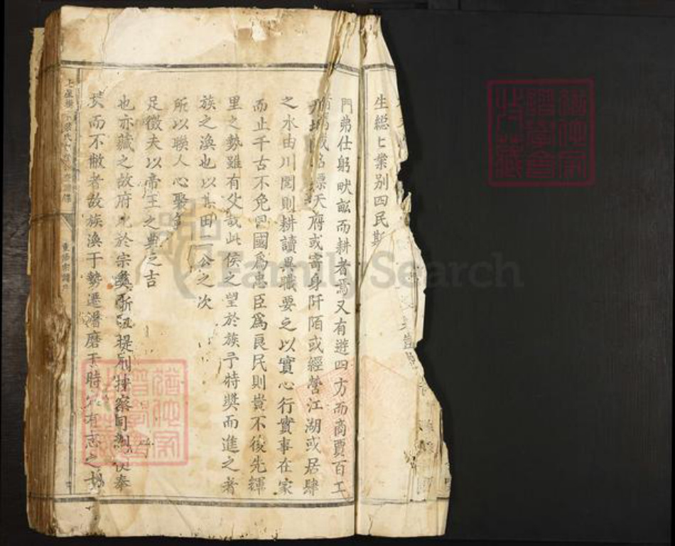 浙江省丽水市叶氏族谱-七星树下叶氏都督公裔谱牒.pdf电子版插图2