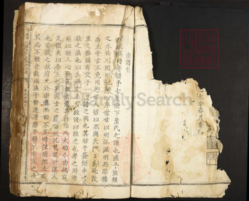 浙江省丽水市叶氏族谱-七星树下叶氏都督公裔谱牒.pdf电子版插图3