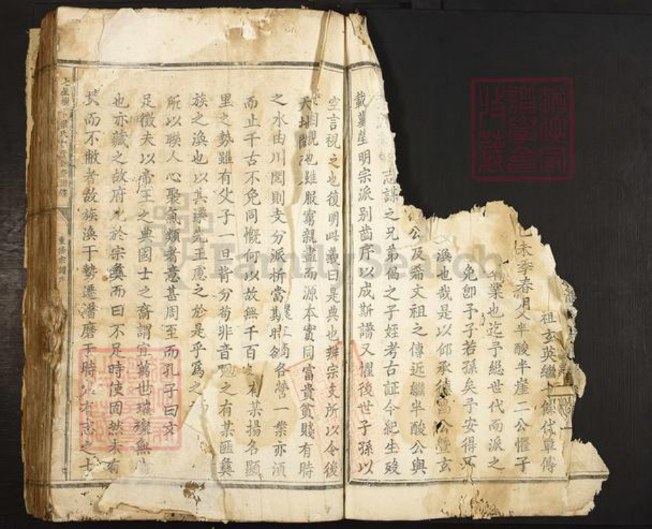 浙江省丽水市叶氏族谱-七星树下叶氏都督公裔谱牒.pdf电子版插图4