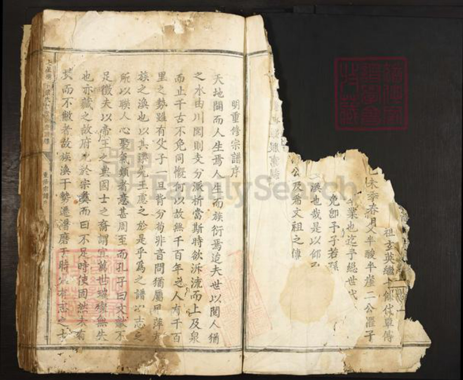 浙江省丽水市叶氏族谱-七星树下叶氏都督公裔谱牒.pdf电子版插图5