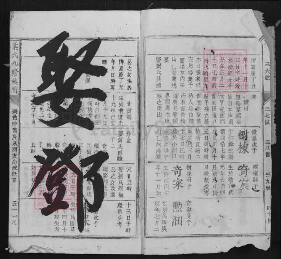 江西省赣州市于都县罗坳镇叶氏族谱-叶氏九修族谱.pdf电子版插图2 江西省赣州市于都县罗坳镇叶氏族谱-叶氏九修族谱.pdf电子版插图2