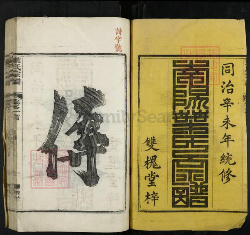 浙江省衢州开化县叶氏双槐堂族谱-叶氏宗谱.pdf电子版插图1 浙江省衢州开化县叶氏双槐堂族谱-叶氏宗谱.pdf电子版插图1