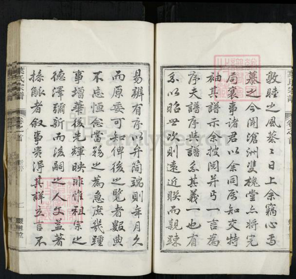 浙江省衢州开化县叶氏双槐堂族谱-叶氏宗谱.pdf电子版插图4 浙江省衢州开化县叶氏双槐堂族谱-叶氏宗谱.pdf电子版插图4