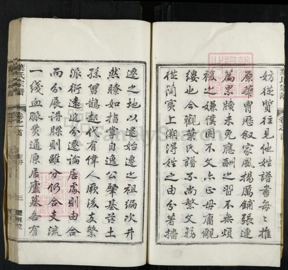 浙江省衢州开化县叶氏双槐堂族谱-叶氏宗谱.pdf电子版插图5 浙江省衢州开化县叶氏双槐堂族谱-叶氏宗谱.pdf电子版插图5