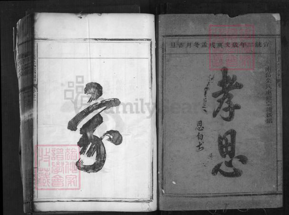 浙江省丽水市松阳县叶村乡叶氏族谱-叶氏宗谱.pdf电子版插图1