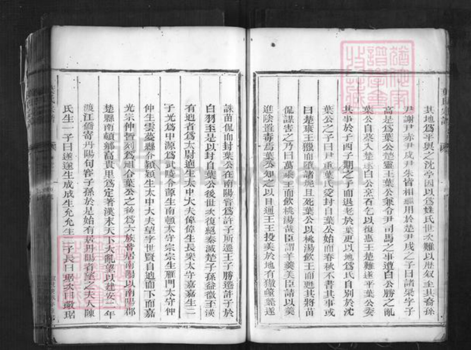 浙江省丽水市松阳县叶村乡叶氏族谱-叶氏宗谱.pdf电子版插图4