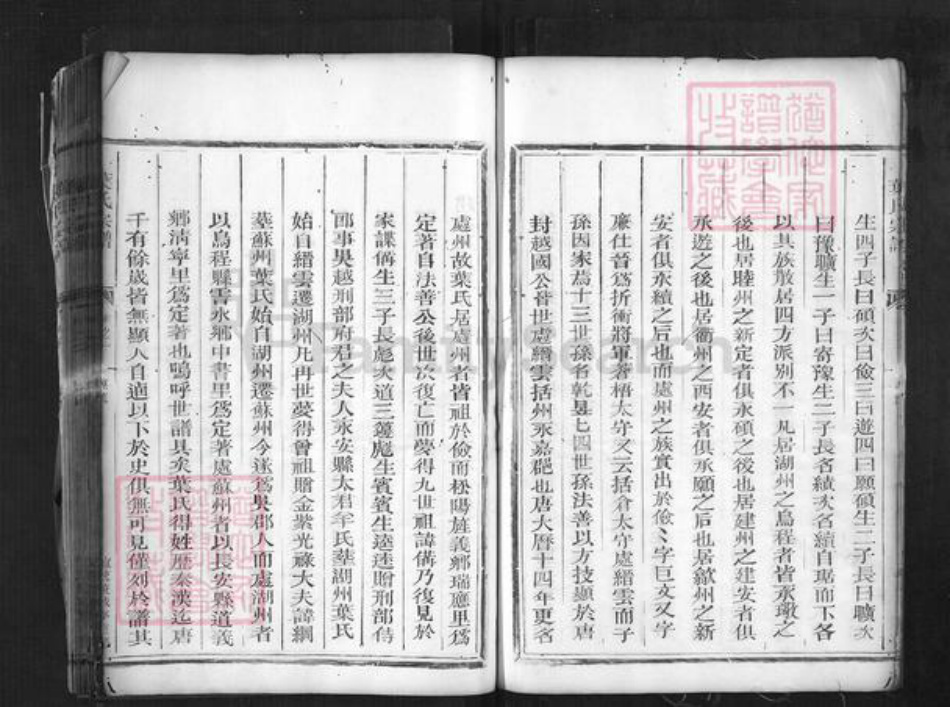 浙江省丽水市松阳县叶村乡叶氏族谱-叶氏宗谱.pdf电子版插图5