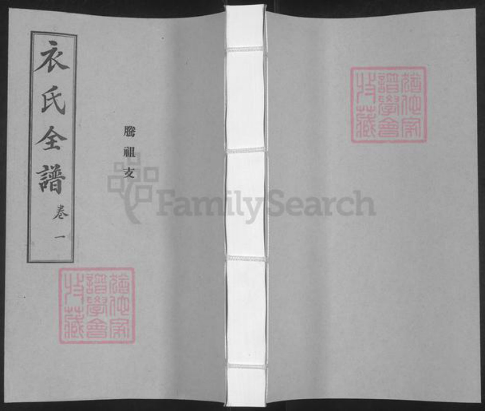 山东省烟台市栖霞市桃村镇衣氏族谱-衣氏全谱.腾祖支.pdf电子版