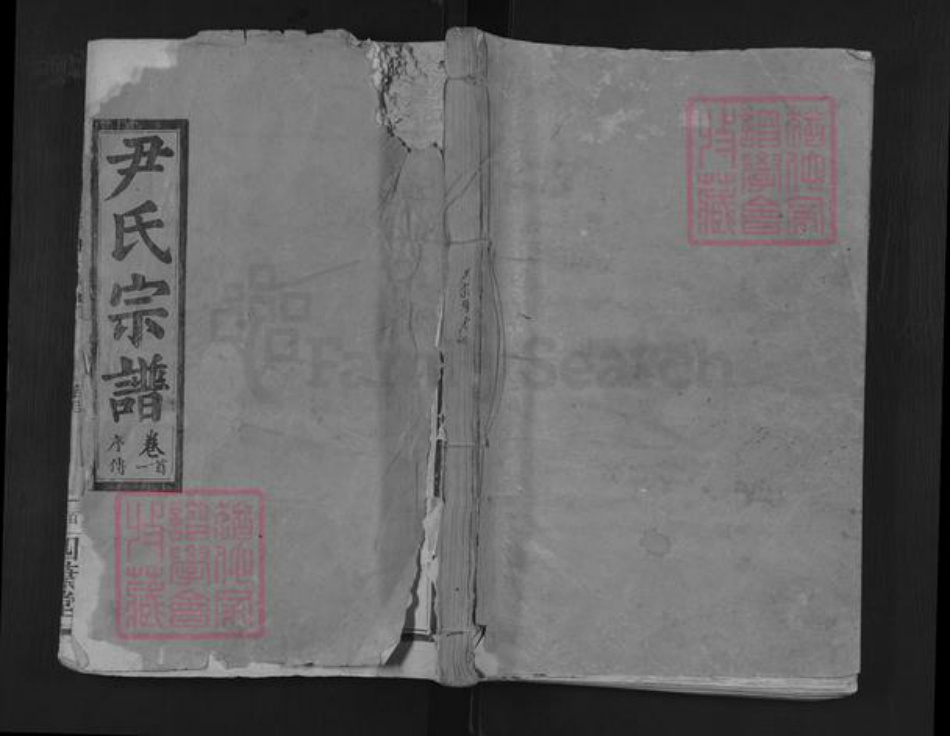 湖北省黄石市阳新县尹氏四叶堂族谱-尹氏宗谱.pdf电子版