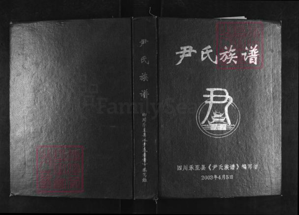 四川省资阳市乐至县宝林镇尹氏族谱-尹氏族谱.pdf电子版