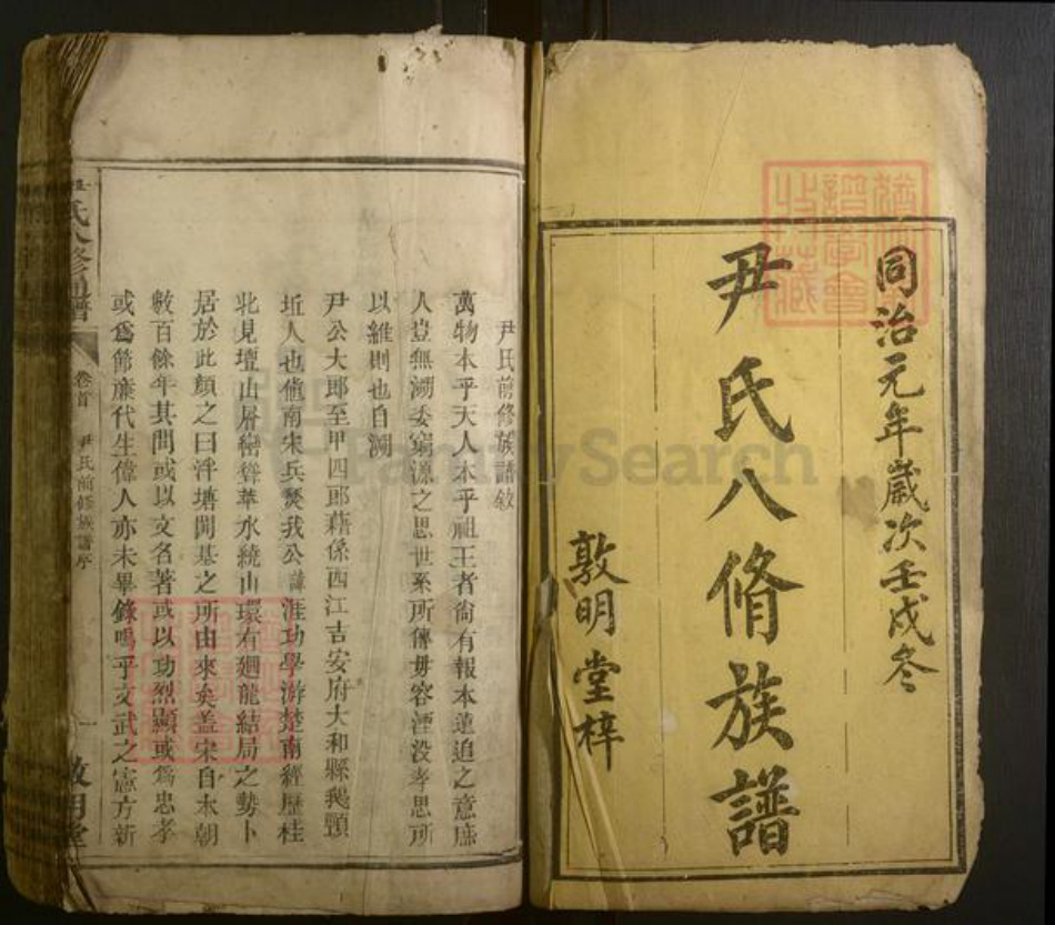 湖南省郴州市桂阳县尹氏族谱-尹氏八修通谱 [总卷数不详].pdf电子版插图1