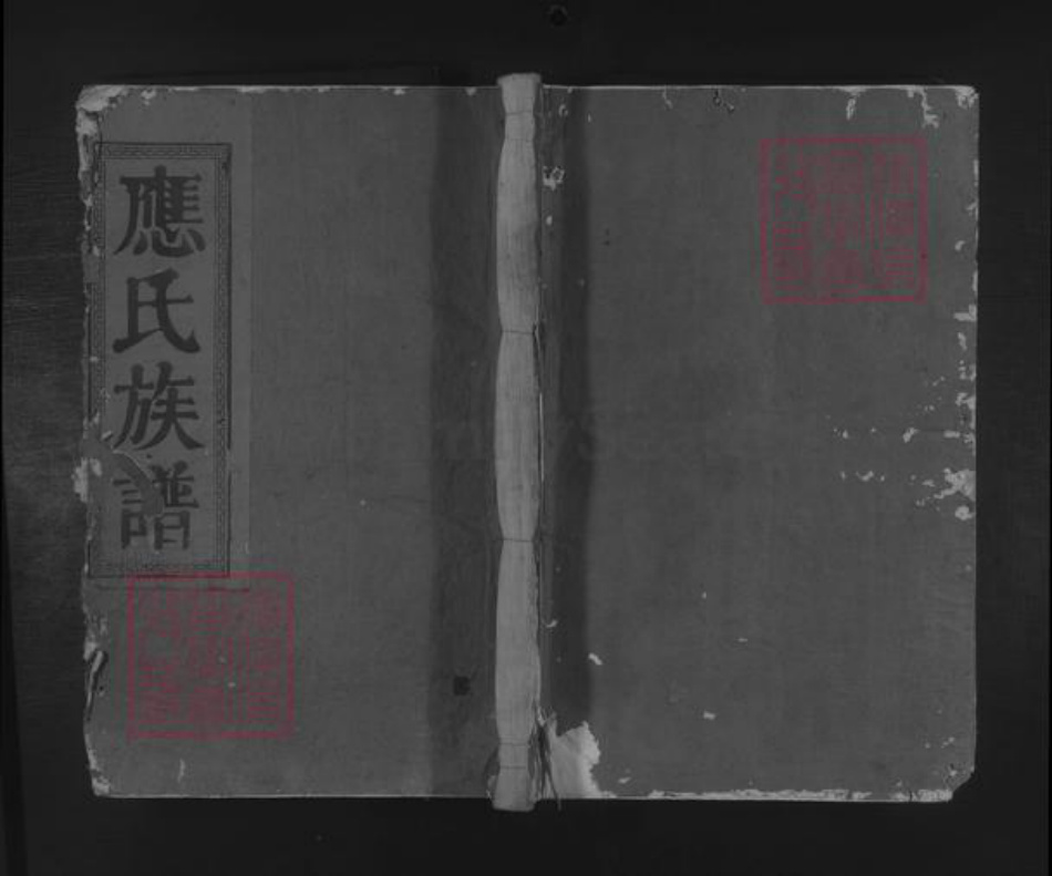 福建省三明市建宁县应氏族谱-[福建建宁]应氏族谱 [不分卷].pdf电子版插图