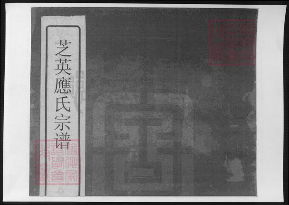 浙江省金华市永康市应氏族谱-芝英应氏宗谱.pdf电子版