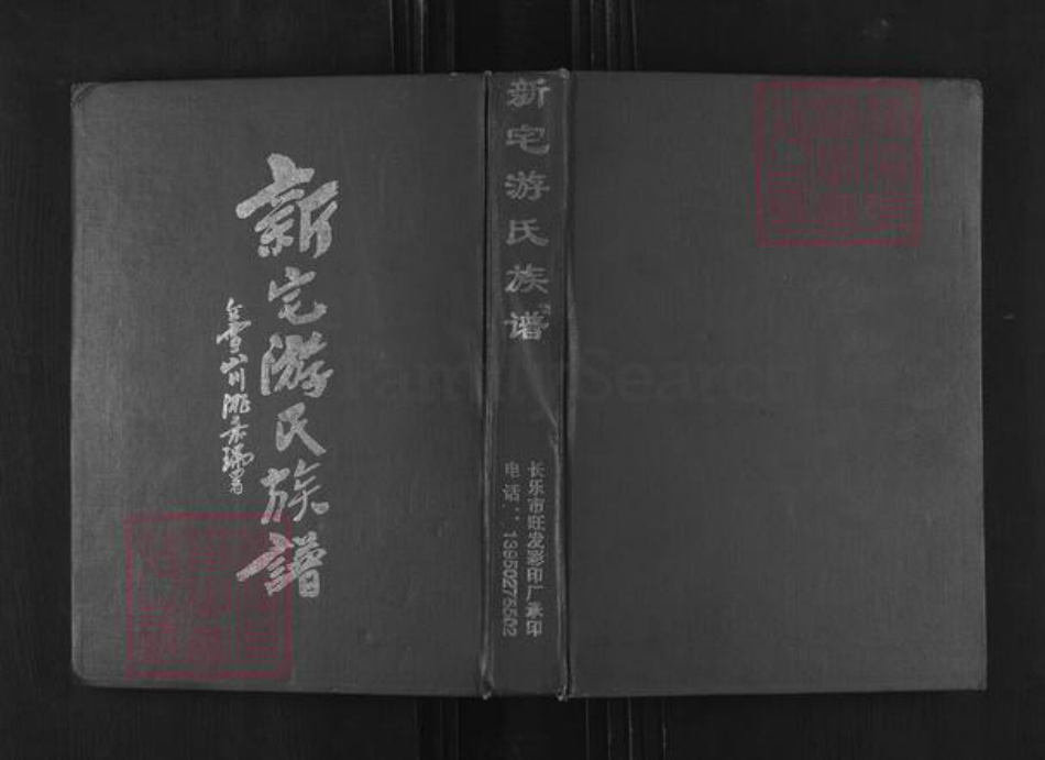 福建省福州市长乐区潭头镇游氏传道堂族谱-新宅游氏族谱.pdf电子版插图 福建省福州市长乐区潭头镇游氏传道堂族谱-新宅游氏族谱.pdf电子版插图