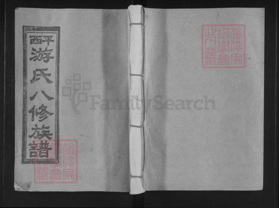 江西省抚州市乐安县公溪镇游氏族谱-平西游氏八修族谱.pdf电子版插图 江西省抚州市乐安县公溪镇游氏族谱-平西游氏八修族谱.pdf电子版插图