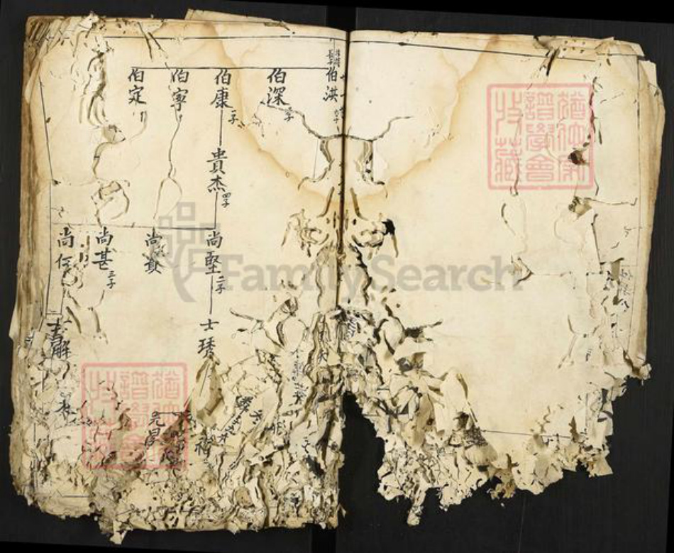 江西省赣州市宁都县洛口镇游氏族谱-游氏族谱.pdf电子版插图4 江西省赣州市宁都县洛口镇游氏族谱-游氏族谱.pdf电子版插图4