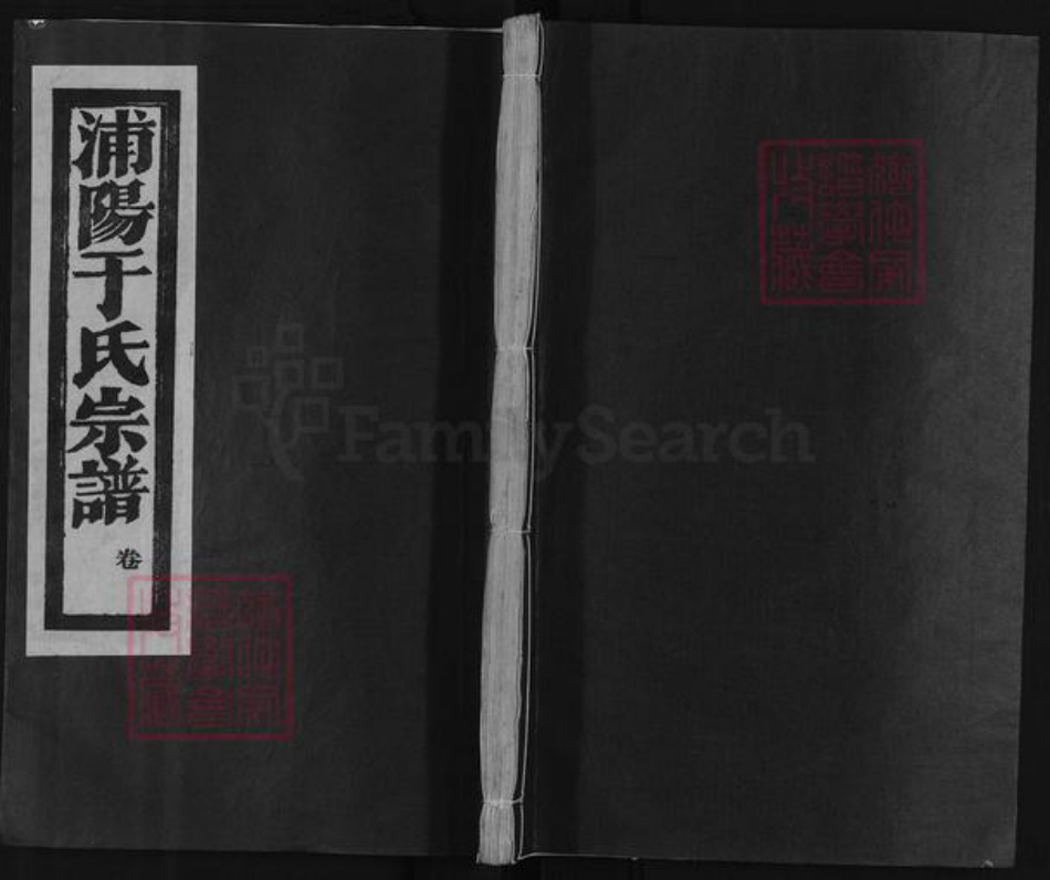 浙江省金华市浦江县岩头镇于氏族谱-浦阳于氏宗谱.pdf电子版